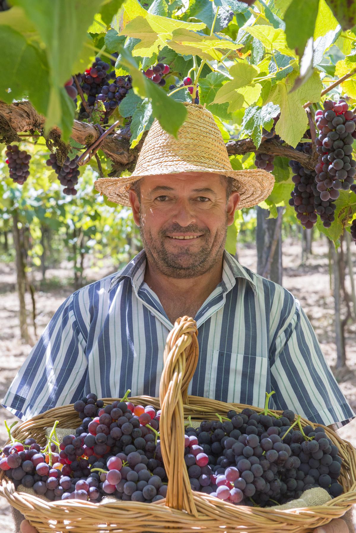 "Inverno em Gramado, vista de ruas cobertas de neve com casas típicas ao fundo, refletindo a atmosfera tranquila e fria da cidade"